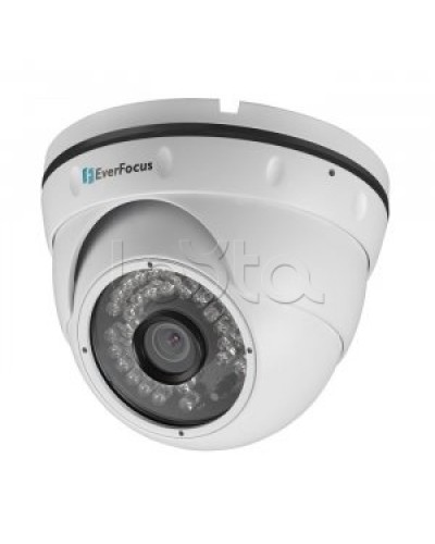 IP-камера видеонаблюдения купольная EverFocus ACE-IAV30 в Хасавюрте IP-камеры Pintop.ru