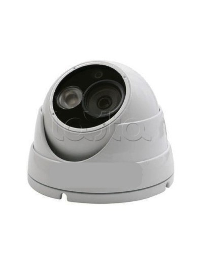 IP-камера видеонаблюдения купольная EverFocus ACE-IEB50P в Хасавюрте IP-камеры Pintop.ru