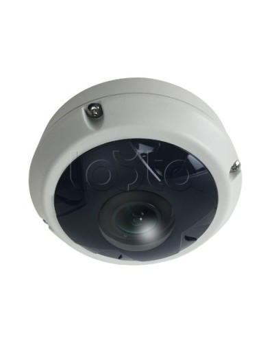 IP-камера видеонаблюдения купольная EverFocus ACE-KU89F в Хасавюрте IP-камеры Pintop.ru