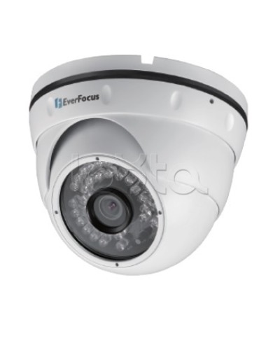 IP-камера видеонаблюдения уличная купольная EverFocus EBN-268 в Хасавюрте IP-камеры Pintop.ru