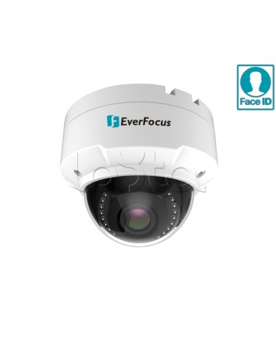 IP-камера видеонаблюдения купольная EverFocus EHN-2550 в Хасавюрте IP-камеры Pintop.ru