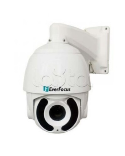 Камера видеонаблюдения поворотная купольная EverFocus EPA-6236 в Хасавюрте Аналоговые камеры Pintop.ru
