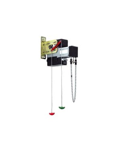 Редуктор цепной (лебедка) для приводов 540, 541 серий Faac 390746 в Хасавюрте Запчасти для шлагбаумов и автоматики Pintop.ru