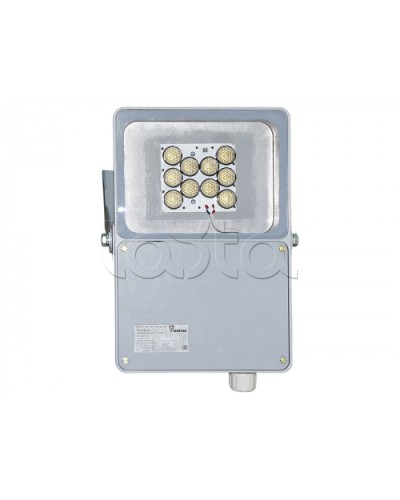 Прожектор светодиодный Forteza ФОСФОР-40/10-А (металл) в Хасавюрте Аксессуары для средств охраны периметра Pintop.ru