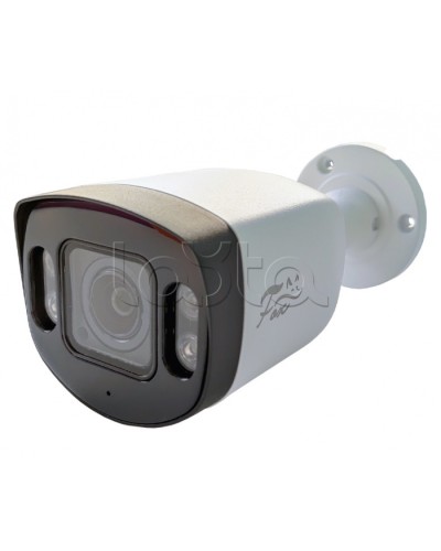 IP-камера видеонаблюдения в стандартном исполнении Fox FX-IPC-C40AP-IR H.265 AI в Хасавюрте IP-камеры Pintop.ru