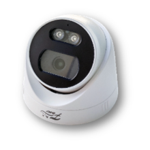 IP-камера в купольном исполненииFox FX-IPC-D450FP-OC H.265 AI