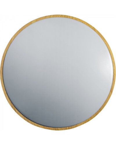 Светильник Navigator 93 460 NLF-C-025-02 в Хасавюрте Светильники Pintop.ru