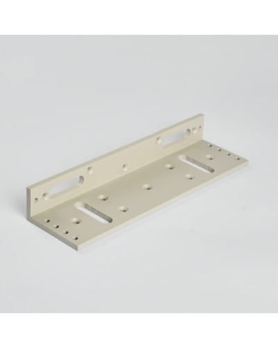 Монтажный аксеcсуар R-Lock RL-BR500-LG в Хасавюрте Дополнительное оборудование для СКУД Pintop.ru