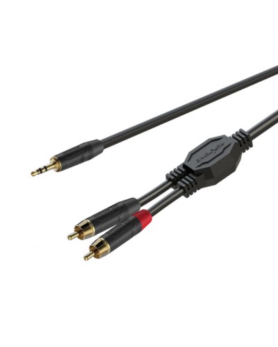 Аудио-кабель ROXTONE GPTC140/2 в Хасавюрте Аксессуары для СОУЭ Pintop.ru