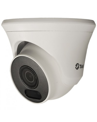 Видеокамера в купольном исполнении уличная Tantos TSc-Ee2FN в Хасавюрте Системы видеонаблюдения Pintop.ru