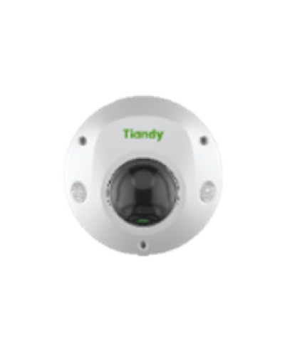Купольная IP-камера Tiandy TC-C32PS Spec:I3/E/Y/M/H/2.8mm/V4.2 в Хасавюрте IP-камеры Pintop.ru