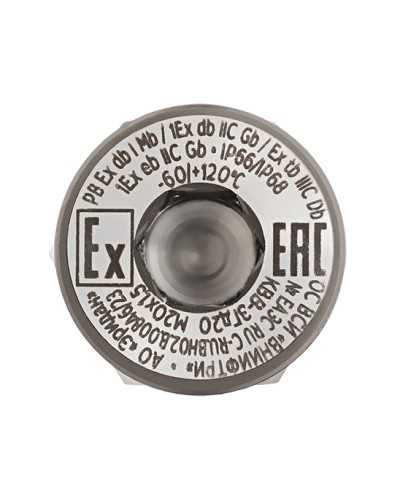 Оконечная заглушка Эридан КВВ-ЗГд20-Н в Хасавюрте Дополнительное оборудование (Ex) Pintop.ru