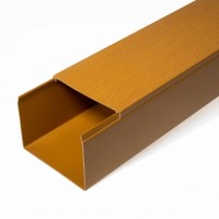 Кабель-канал бук 2-й замок в п/э 60х60 (12 м/уп) Промрукав (PR03.0203)