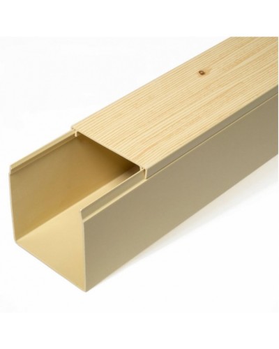 Кабель-канал сосна 2-й замок в п/э 60х60 (12 м/уп) Промрукав (PR03.0188) в Хасавюрте Кабель-канал Pintop.ru