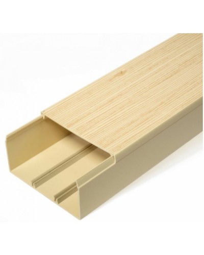 Кабель-канал сосна 2-й замок в п/э 100х60 (8 м/уп) Промрукав (PR03.0192) в Хасавюрте Кабель-канал Pintop.ru