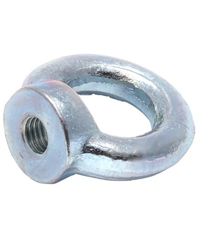 Рым-гайка М10 DIN 582 (50 шт/уп) Промрукав (PR08.3905) в Хасавюрте Крепеж Pintop.ru