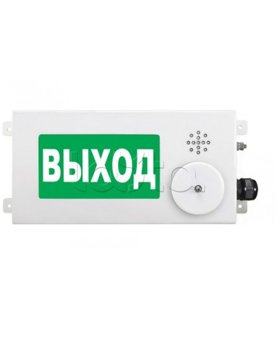 Табло световое взрывозащищенное Спектрон ТСВ-Exi-М-Прометей-МИНИ 12-36В в Хасавюрте Оповещатели Ex Pintop.ru