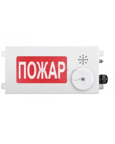 Табло светозвуковое взрывозащищенное Спектрон ТСЗВ-Exi-М-Прометей-МИНИ 12-36В в Хасавюрте Оповещатели Ex Pintop.ru