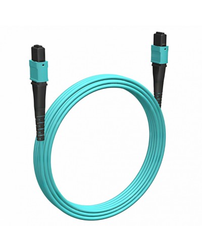 Кабельная сборка MPO(F) -MPO(F)-12 волокон 50/125 OM3, 5 m Cabeus (FOP-50-OM3-12-MPO(F)-12-MPO(F)-B-5m) в Хасавюрте Кабельные сборки (оптические) Pintop.ru