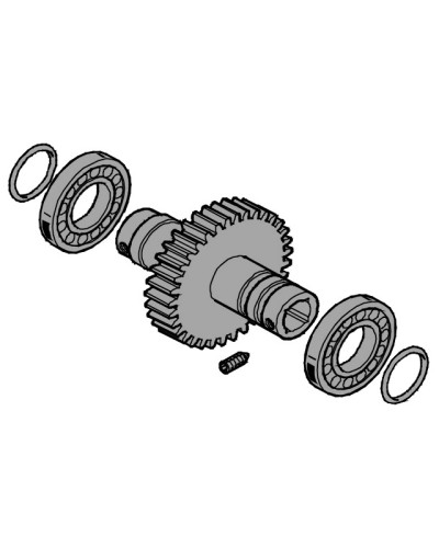 Вал выходной EMEGA Came 119RIE062 в Хасавюрте Запчасти для шлагбаумов и автоматики Pintop.ru