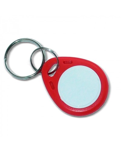 Ключ стандарта Mifare Цифрал КП-1К (брелок) в Хасавюрте Оптовые идентификаторы Pintop.ru