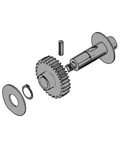 Вал в сборе C100 Came 119RIC011 в Хасавюрте Запчасти для шлагбаумов и автоматики Pintop.ru