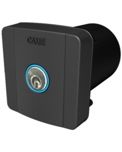 Ключ-выключатель встраиваемый Came 806SL-0020 в Хасавюрте Запчасти для шлагбаумов и автоматики Pintop.ru