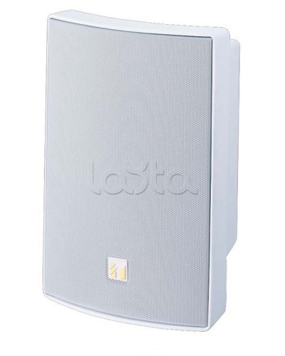 Громкоговоритель универсальный двухполосный TOA BS-1030W в Хасавюрте Системы оповещения и трансляции TOA Pintop.ru