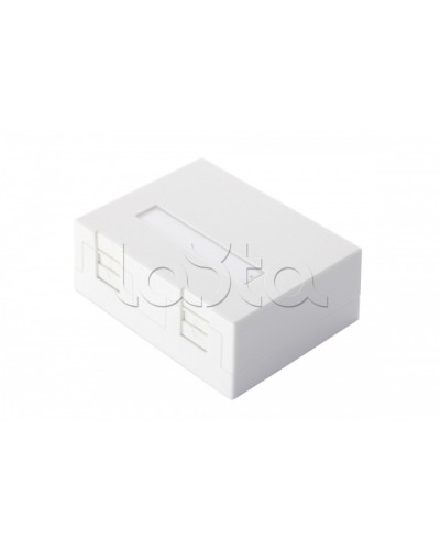 Настенная коробка 2-портовая со шторками, белый Eurolan (12B-04-02WT-2) в Хасавюрте Розетки компьютерные и телефонные Pintop.ru