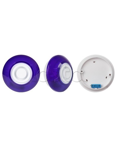 Оповещатель комбинированный SLT Марс 12-КП (строб, син) в Хасавюрте Оповещатели Pintop.ru