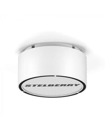 Громкоговоритель STELBERRY F-306W в Хасавюрте Акустические системы Pintop.ru