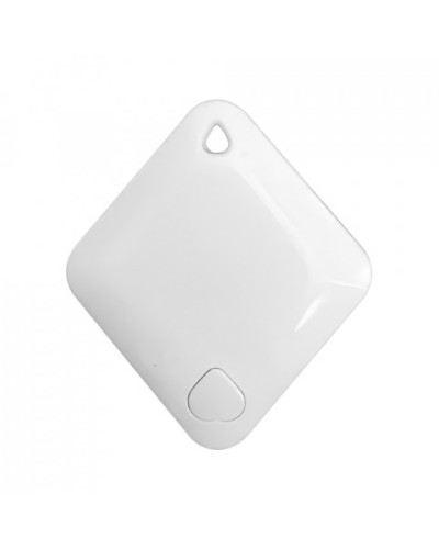 Брелок-идентификатор BLE ProxWay PW-Tag S1 W в Хасавюрте Оптовые идентификаторы Pintop.ru