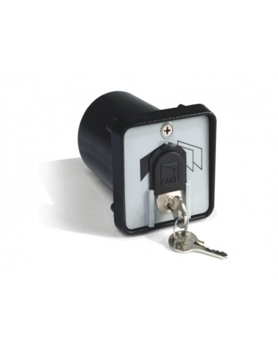 Ключ-выключатель с защитой цилиндра, встраиваемый Came 001SET-K в Хасавюрте Запчасти для шлагбаумов и автоматики Pintop.ru