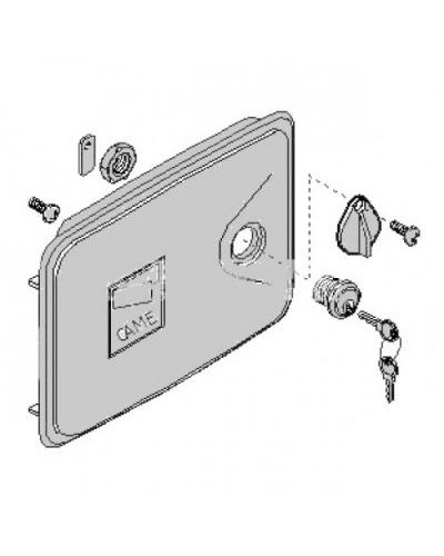 Дверца замка разблокировки FERNI Came 119RID136 в Хасавюрте Запчасти для шлагбаумов и автоматики Pintop.ru